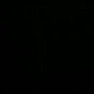 Meet your Posher, Alina